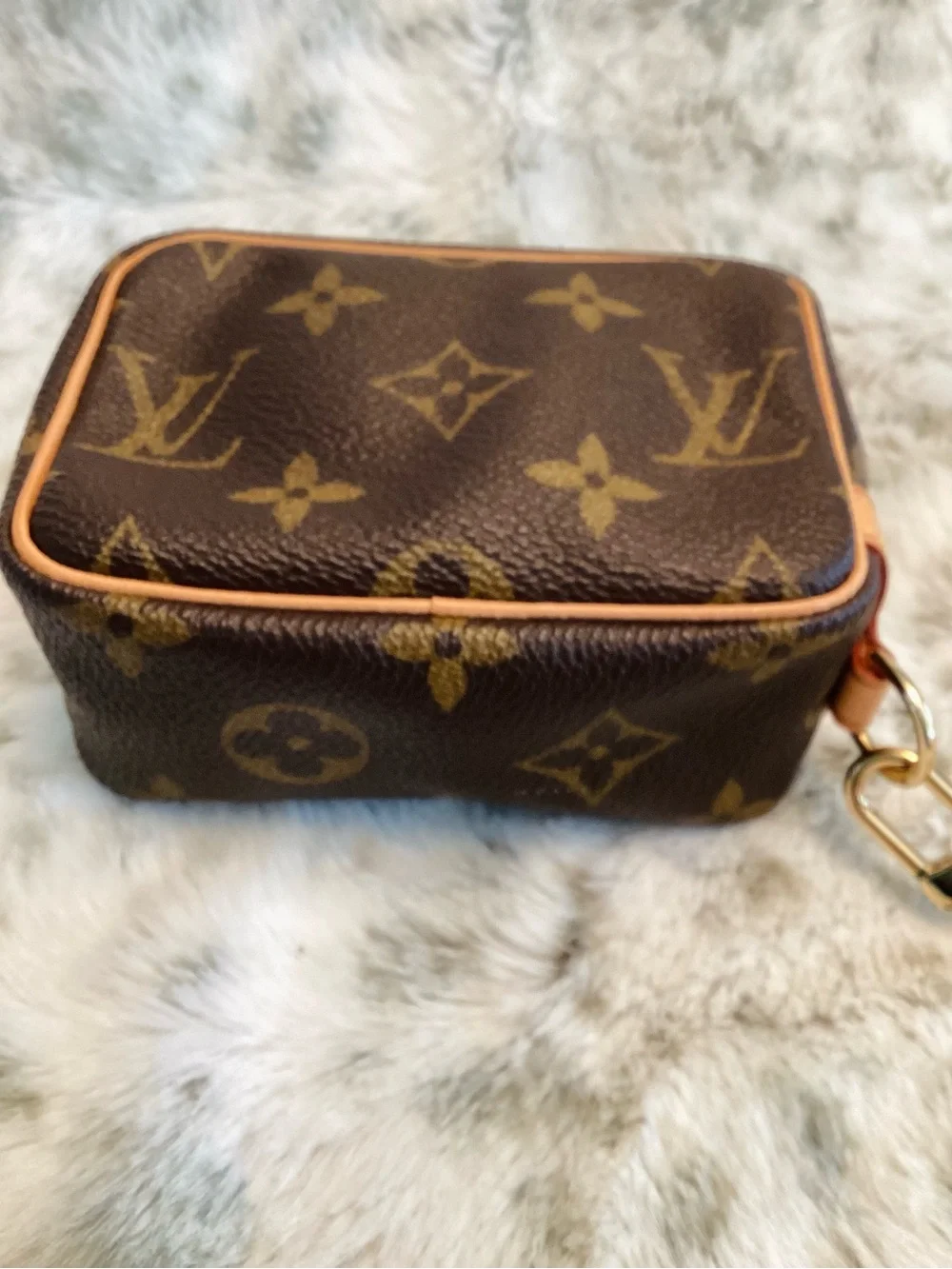 Louis Vuitton Trousse Wapity Pouch